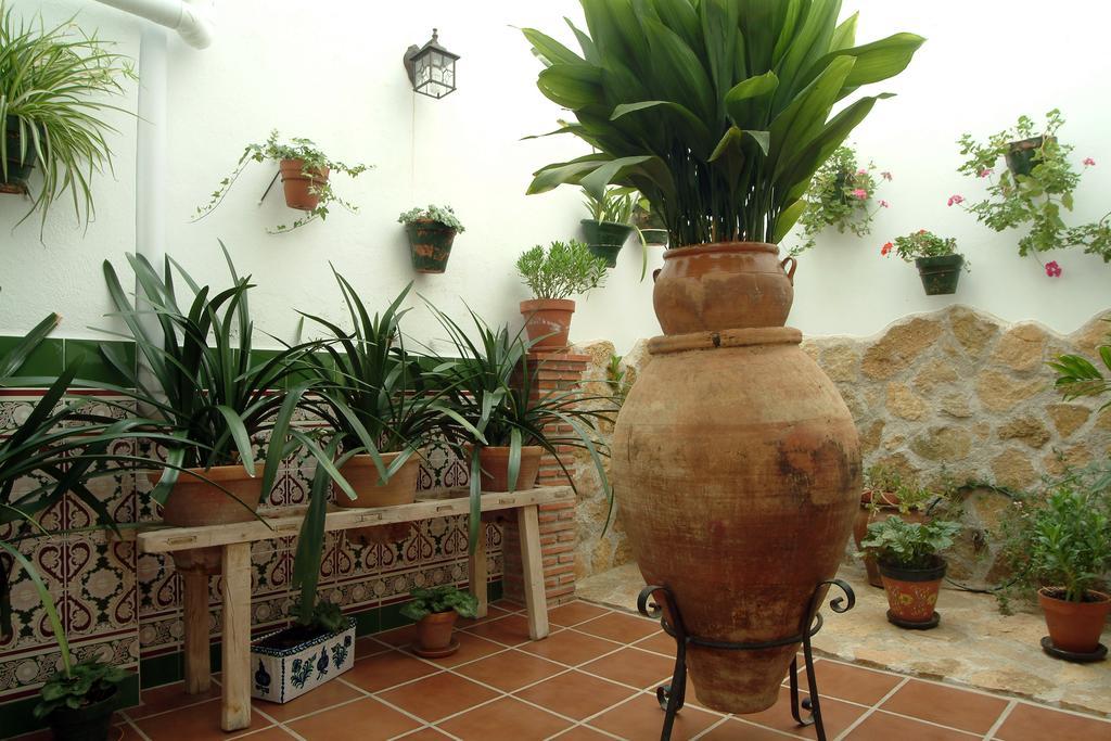 Hinojares Apartamentos Tio Jose Maria מראה חיצוני תמונה